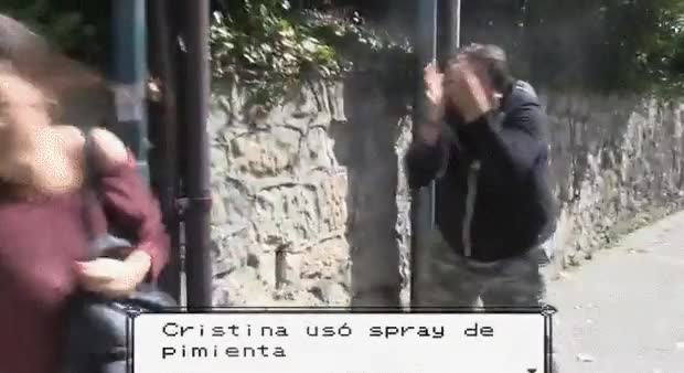 Enlace a Si el mundo real fuese como el de Pokémon