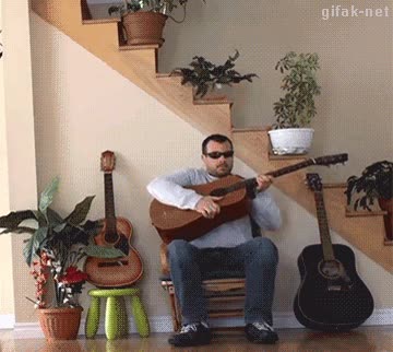 gato,guitarrista,video,tratar mal,patadas,merecido,tiesto,guitarra