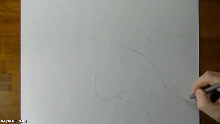 cuanto arte,velociraptor,dibujar,arte,maestro,dibujo