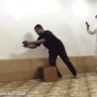 guepardo,patada,foto,movil,empujar,amigos,verdaderos,temerario