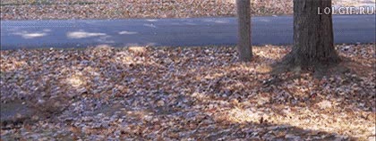 dron,drones,soplador de hojas,helices,despejar el camino,son el futuro