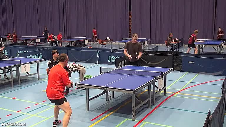 ping pong,ping-pong,tenis de mesa,vacilada,engaño,lanzamiento hacia arriba,perder de vista,lo clava