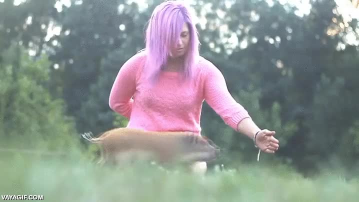 adoptar,cerdito,cerdo,cria,agility porcino,chica,entrenadora