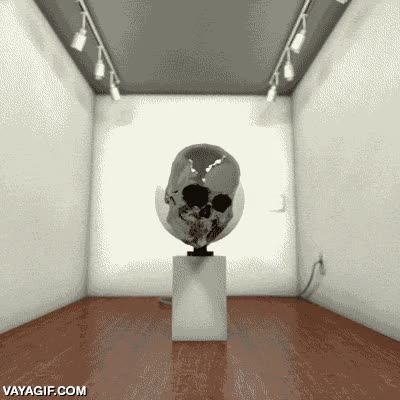 craneo,arte,giratorio,calavera,girar,perspectiva,escultura
