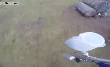 golpe,PaintBall,torpe,cabezazo,fail,se ha hecho sangre el loco,herida