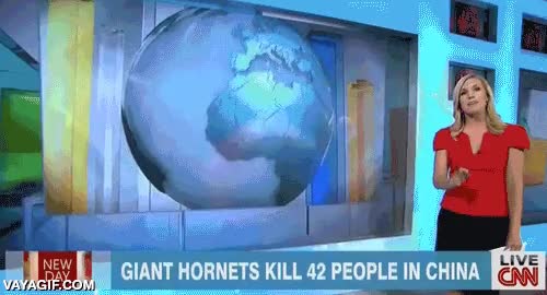 hong kong,en brasil de toda la vida,mapa,you only had one job,china,presentadora