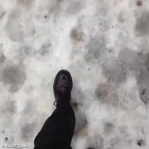 patos,invasi&oacute;n,buscan venganza por tanto pato pekin,avalancha