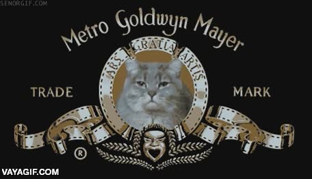 Si algún día se hiciera una película sobre Internet, debería empezar así internet y los gatos,gato,metro goldwyn mayer,leon reducido,bostezar