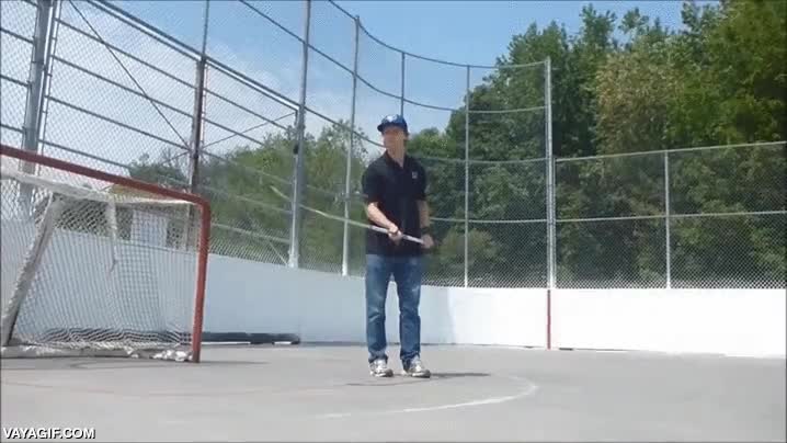 malabarismos,frivolit&eacute;s,trucos,stick,hockey sobre hielo,puck,disco