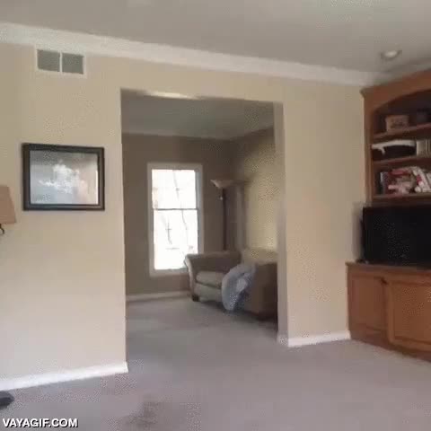 huir,perseguir,aspiradora,aspirador,caminar,andar,sola,suerte del cable