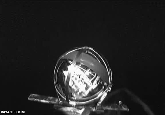 profundidades,mar,imaginar,calamar gigante,kraken,camara,alta presion,calamar