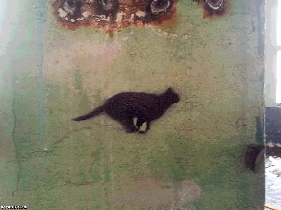pintada,animado,diferentes puntos de la ciudad,correr,stop motion,gato negro