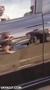 Si vives en Australia, antes de abrir tu coche mira antes bajo la maneta araña,susto,miedo,no te puedes fiar,australia