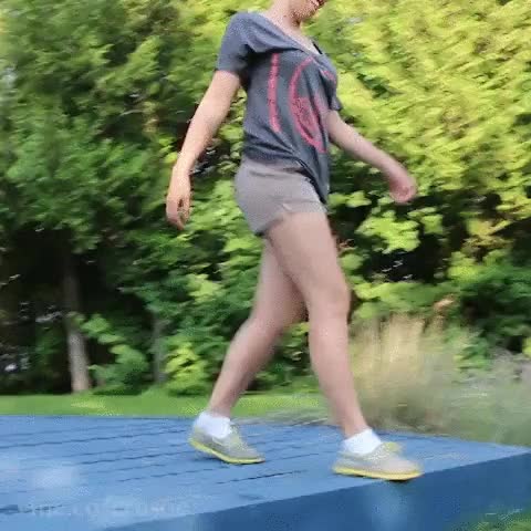 dogtor,no es una errata es un juego de palabras,doctor,medico,dachshund,disfrazados,perro