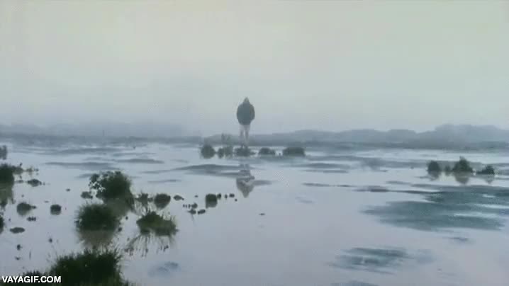 david attenborough,animales,documentales,mono,chimpance,nutria,kiwi,manatí