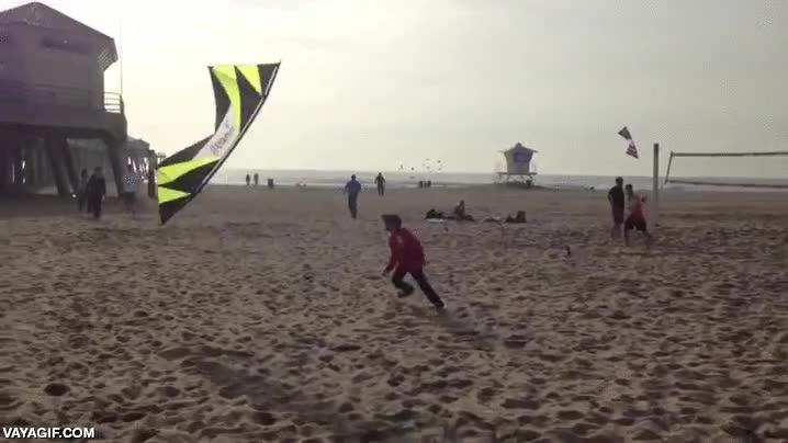 control,cometa,kite,vacilar,trollear,enga&ntilde;ar,playa,jugar,perseguir