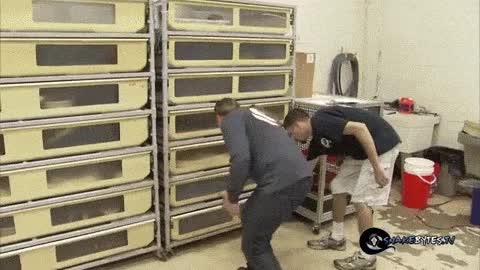 peligro,jaula,caj&oacute;n,rabiosa,enfadada,atacar,mano,mordisco,serpiente