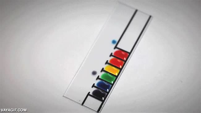 muy curioso,curiosidad,cosa rara,colores,saltar,esquivar,colorante,alimenticio