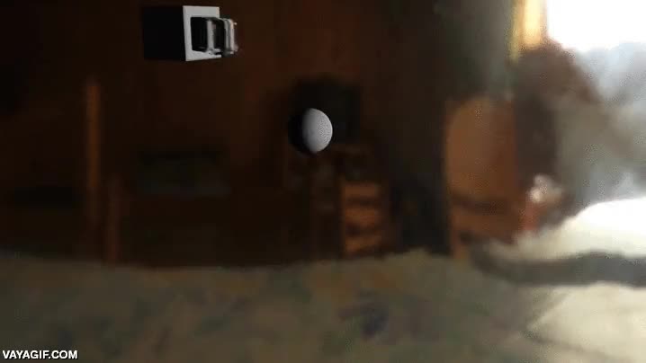 efecto,efectos especiales,agua,chorro,mecanica,fluidos,renderizado,por ordenador