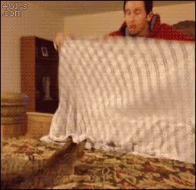 confundir,flipar,gato,desaparecer,efecto,truco,montaje