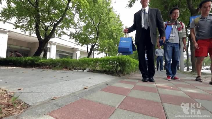 asiaticos,free line skate,separados,maestro,mucho control