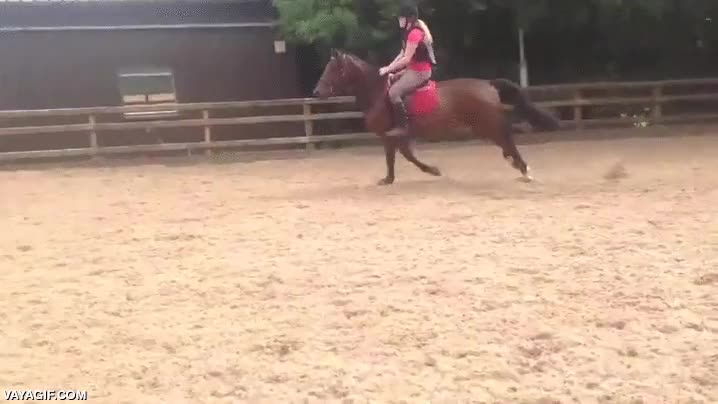 caballo,finta,frenar,frenazo,lanzar,jinete,amazona,de boca