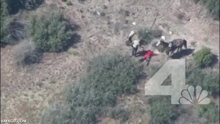San Bernardino,sheriff,persecuci&oacute;n,a caballo,brutalidad,ya una vez esposado,que gratuito,se merecen lo mismo x 10,policias,policial,cobardes,estados unidos