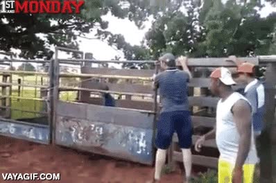 rodeo,saltar,podría ser un trabajo,¿a qué te dedicas? soy rodeista,igual de salvaje o más,vale sí es raro