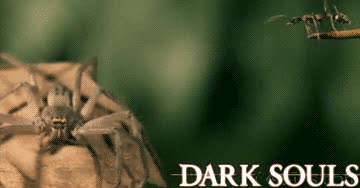 juego muy dificil,dark souls,araña,hormiga,saltar,kamizake,muerte segura