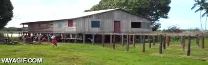 reggaeton,mover,mudanza a lo bestia,amazonas,trasladar,casa entera,vecina