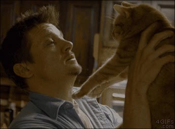 gato,humano,beso,besar,pata en la boca