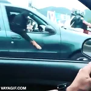 perro,gafas de sol,rottweiler,ventanilla,pata por fuera,un malote