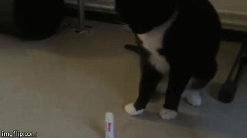 protector labial,cacao,gato,golpecito