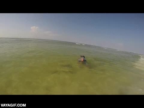 hilillos de plastilina,petroleo,vertido,asco,contaminación a tope,naturaleza,BP thank you