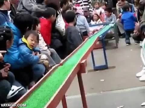 cobaya,roedor,raton,guinea pig,tren,trenecito