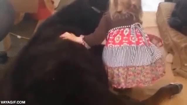 ''Es que las vacas son animales simples sin sentimientos ni emociones'' Mira esto antes de hablar vacas,ternera,como puedo volver a comer ternera después de esto?,niña,adorable,tierno