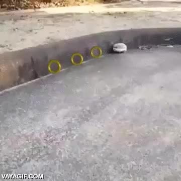 sonic,el erizo,erizo,videojuego,ultraHD,4k,muy divertido pero no tan r&aacute;pido