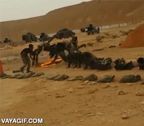Enlace a El típico entrenamiento tranquilo del ejército en el desierto