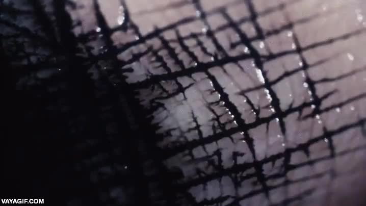 hipnotico,magico,tinta,huelas dactilares,surcos,llenarse