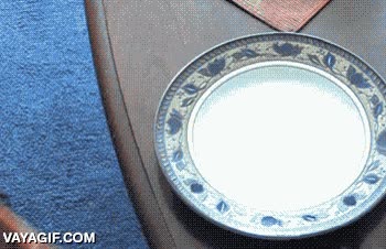 gif al rev&eacute;s,camarero,en realidad es un ladr&oacute;n,perro,plato,mesa