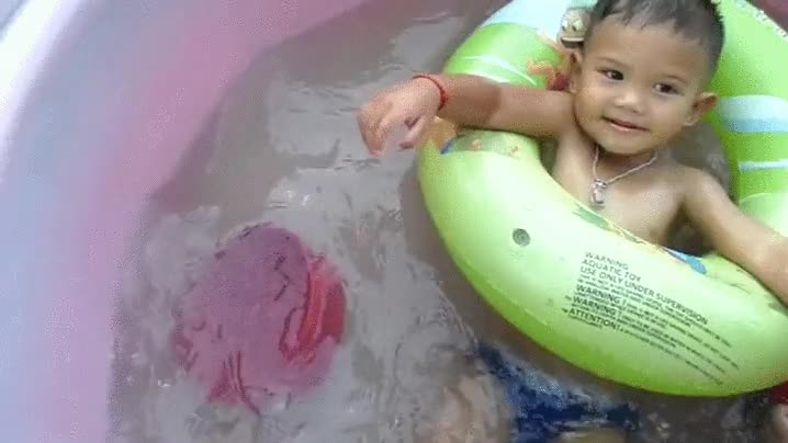 m&aacute;s agusto que un arbusto,pug,carlino,barre&ntilde;o,piscina,agua