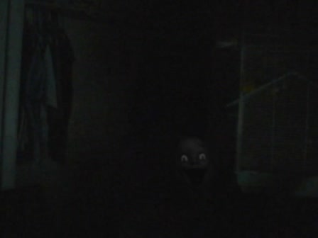 terror,oscuridad,saltar,algo te observa,susto,miedo,si te esperas mucho acaba saltando,tu solo ten paciencia