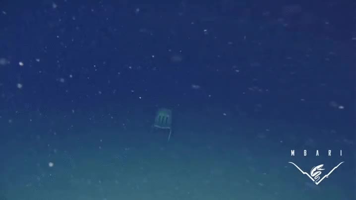 a quien pertenecer&aacute;,barco,naufragio,al menos no hay nadie sentado,fondo marino,oceano pacifico