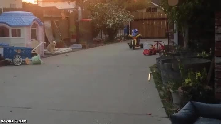 casco,triciclo,atrapado,atascado,clavado en el triciclo,ni&ntilde;o,pobrecito