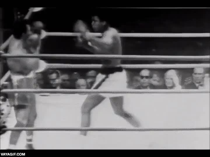 macquiao,mayweather,muhammad ali,boxeo,el combate del siglo,boxeadores,velocidad