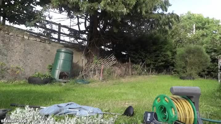 hacer caer,tropezar,suerte que cae sobre el mullido cesped,solo quer&iacute;a jugar,abuelo,hombre mayor,fail,pisar,perro