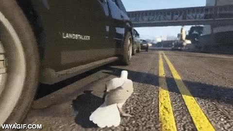 grand theft auto,gaviota,mod,es gracioso porque la mascota del PP es una gaviota,ladrona