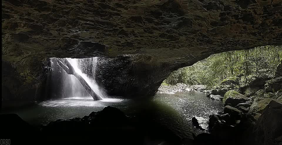 Springbrook park,Australia,puente,cascada,tronco,todo se forma de manera casual,paisaje,belleza
