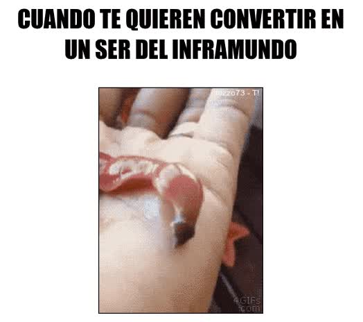 gusano,asqueroso,mano,convertir,extra&ntilde;o vomito,nemertea,insecto
