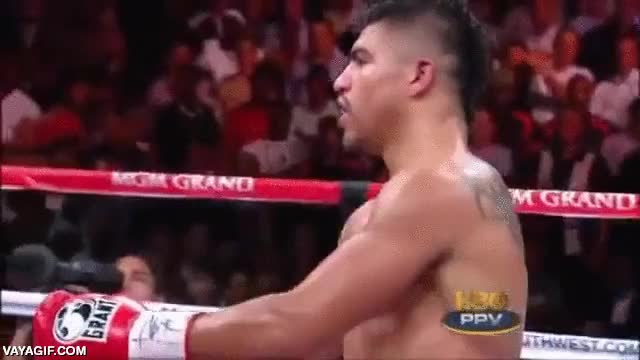 el arbitro a donde est&aacute; mirando?,mayweather,sin esperar,saludo,para una vez que no quiere un abrazo...,el combate del siglo